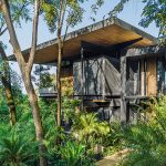 انواع بافت زمین