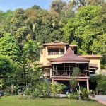 مقایسه ویلای ساحلی با ویلاهای جنگلی