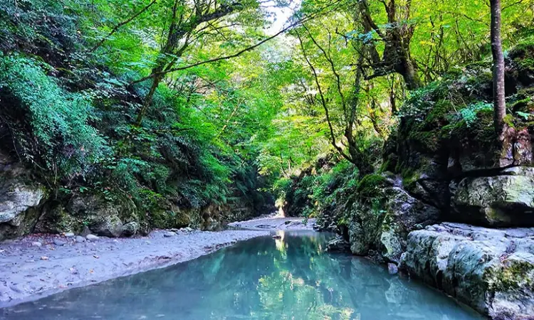تنگه دار از مناطق دیدنی نوشهر