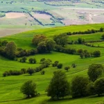 بهترین مناطق شمال برای خرید زمین