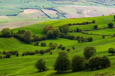 بهترین مناطق شمال برای خرید زمین