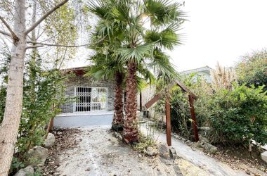 ویلا مشجر شیک